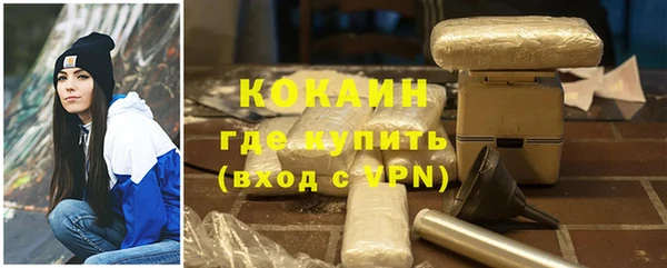 спиды Богородск