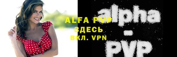 гашик Богородицк