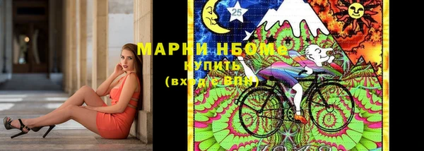 гашик Богородицк