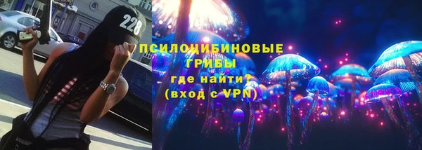 спиды Богородск
