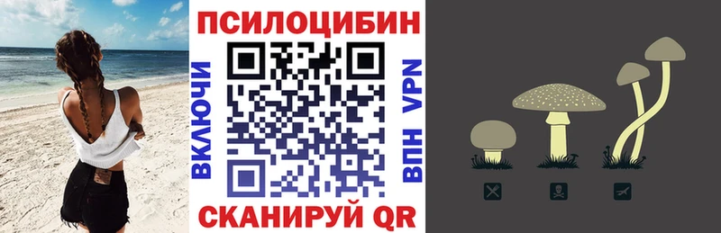 Псилоцибиновые грибы Psilocybe  Купить где  Трёхгорный 